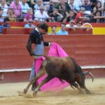 Valencia, sábado 20 de julio de 2019. Certamen de Escuelas Taurinas