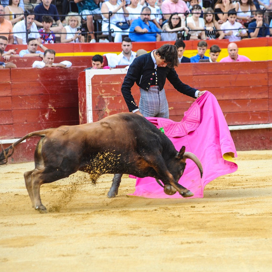 Valencia, sábado 20 de julio de 2019. Certamen de Escuelas Taurinas