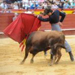 Valencia, sábado 20 de julio de 2019. Certamen de Escuelas Taurinas