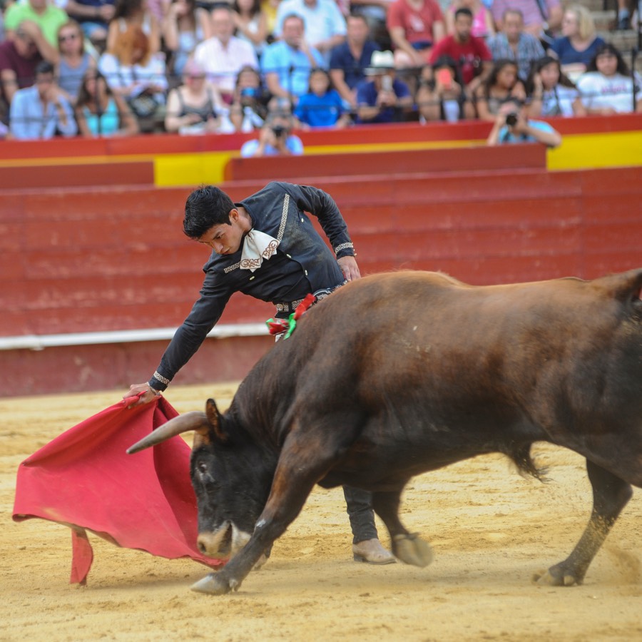 Valencia, sábado 20 de julio de 2019. Certamen de Escuelas Taurinas