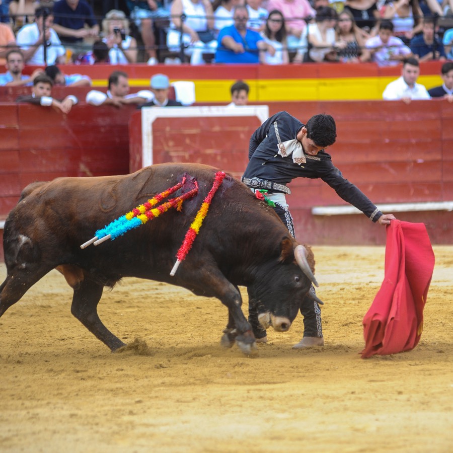 Valencia, sábado 20 de julio de 2019. Certamen de Escuelas Taurinas