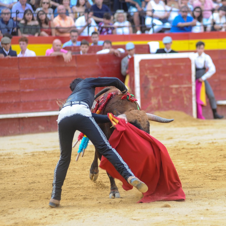 Valencia, sábado 20 de julio de 2019. Certamen de Escuelas Taurinas