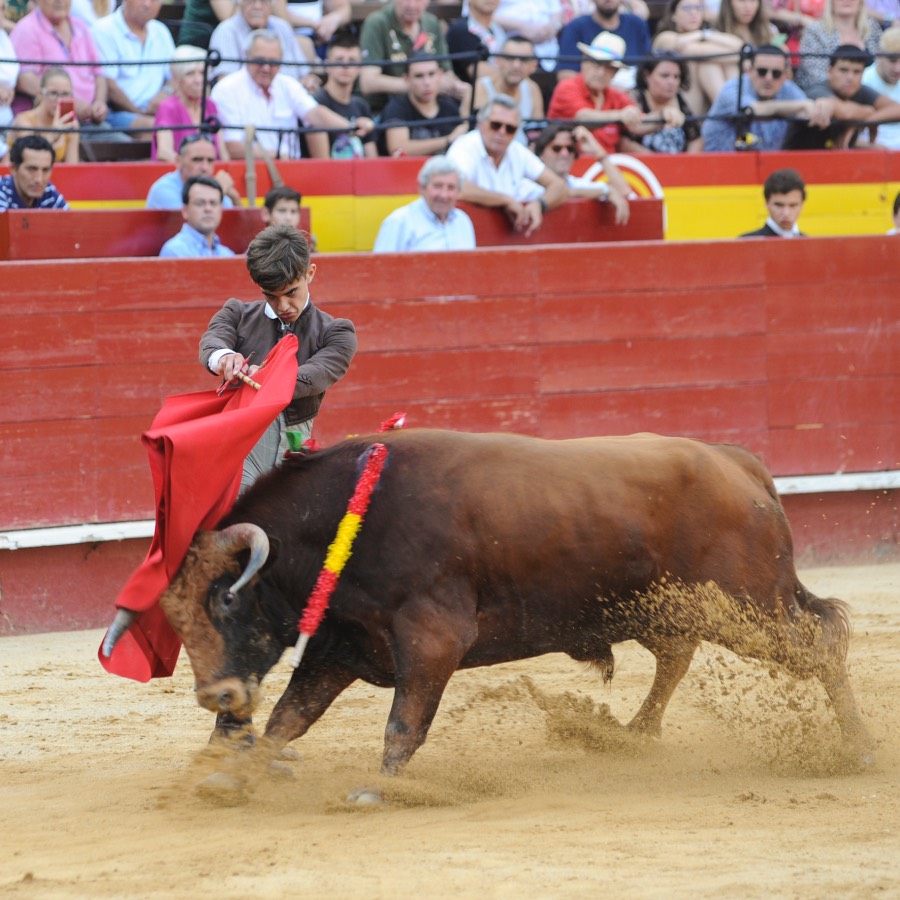 Valencia, sábado 20 de julio de 2019. Certamen de Escuelas Taurinas