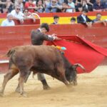 Valencia, sábado 20 de julio de 2019. Certamen de Escuelas Taurinas