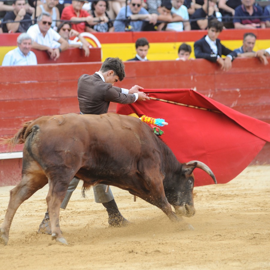Valencia, sábado 20 de julio de 2019. Certamen de Escuelas Taurinas