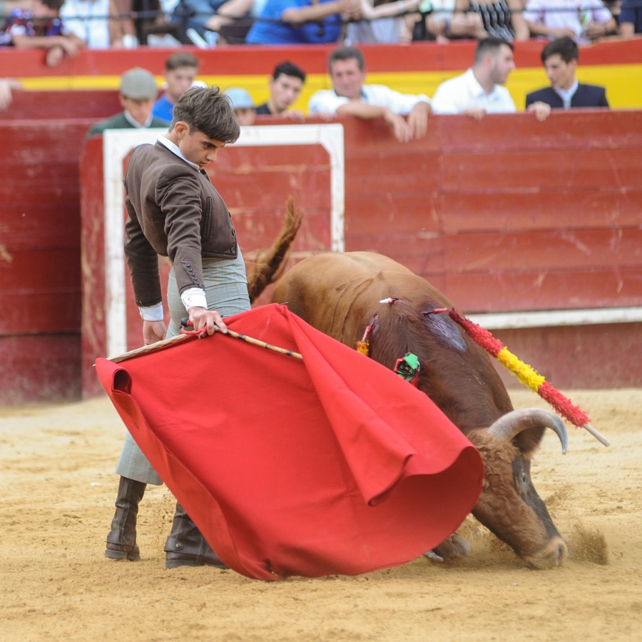 Valencia, sábado 20 de julio de 2019. Certamen de Escuelas Taurinas