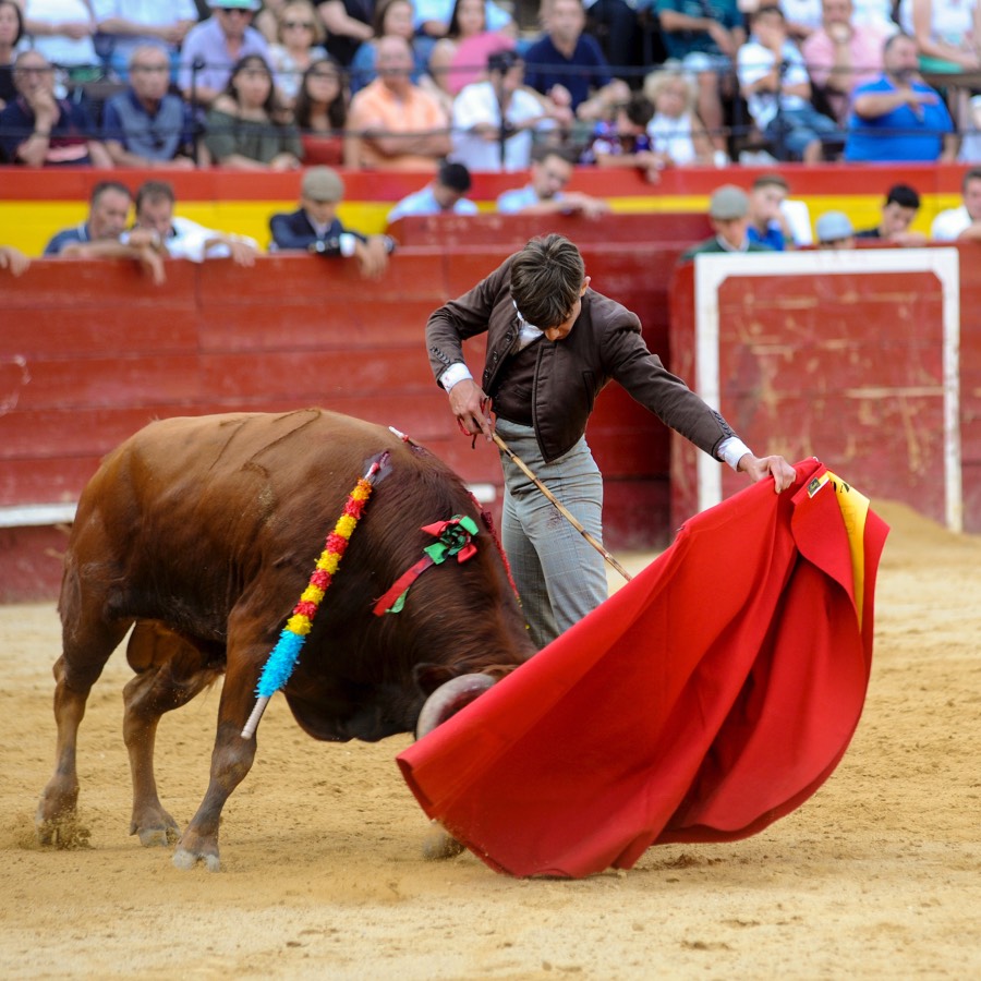 Valencia, sábado 20 de julio de 2019. Certamen de Escuelas Taurinas