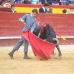Valencia, sábado 20 de julio de 2019. Certamen de Escuelas Taurinas