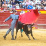 Valencia, sábado 20 de julio de 2019. Certamen de Escuelas Taurinas
