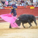 Valencia, sábado 20 de julio de 2019. Certamen de Escuelas Taurinas