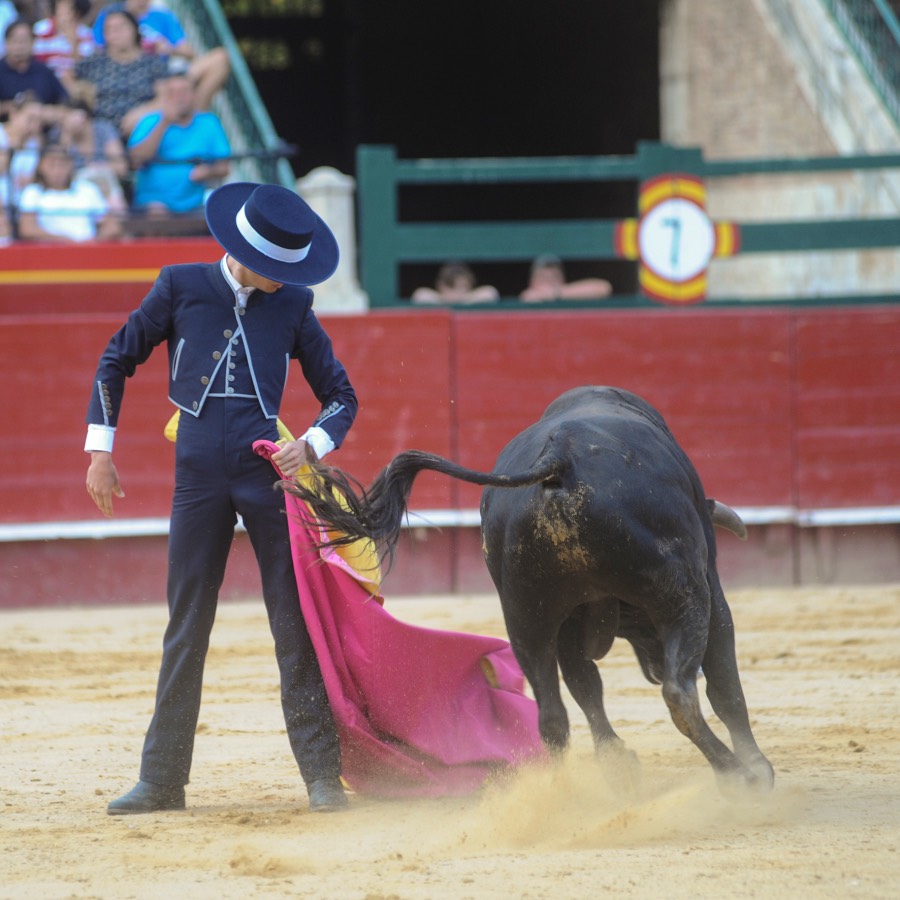 Valencia, sábado 20 de julio de 2019. Certamen de Escuelas Taurinas