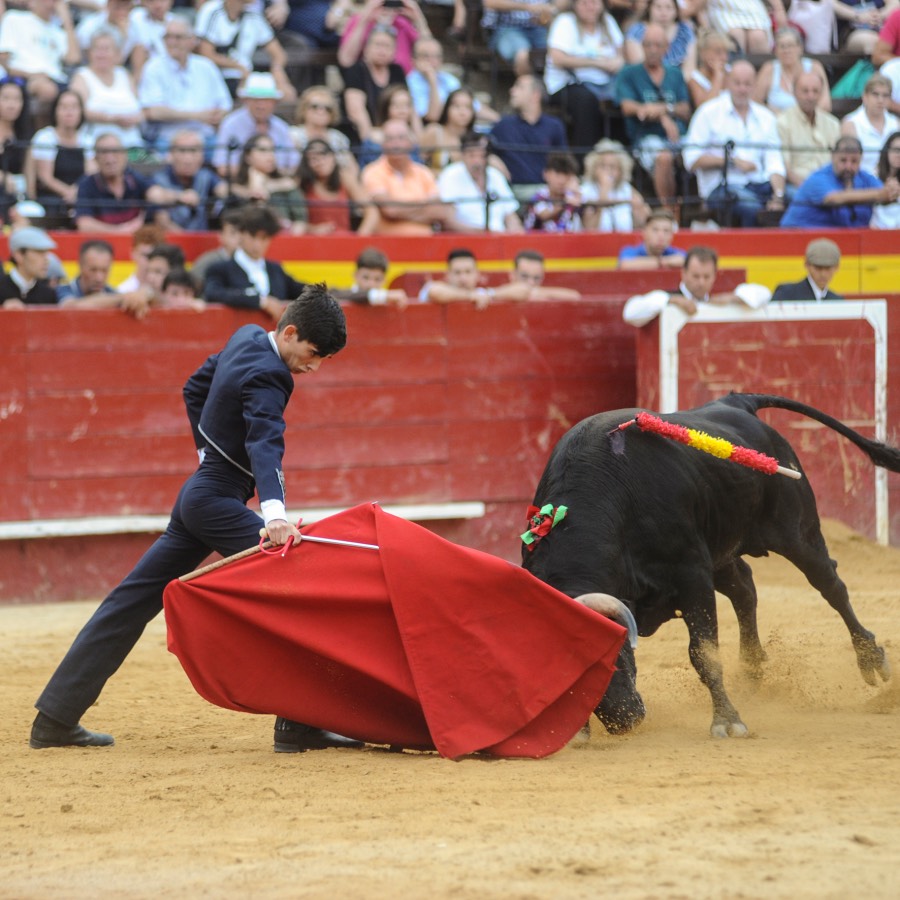 Valencia, sábado 20 de julio de 2019. Certamen de Escuelas Taurinas