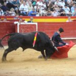 Valencia, sábado 20 de julio de 2019. Certamen de Escuelas Taurinas
