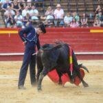 Valencia, sábado 20 de julio de 2019. Certamen de Escuelas Taurinas