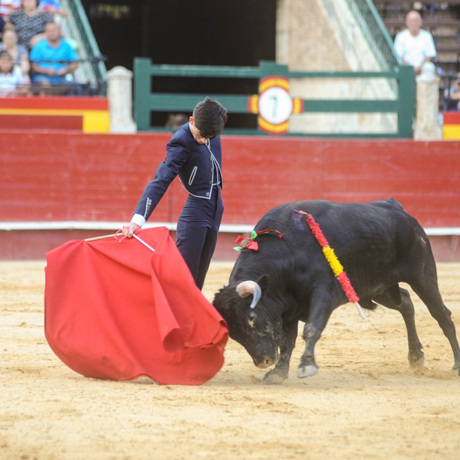 Valencia, sábado 20 de julio de 2019. Certamen de Escuelas Taurinas