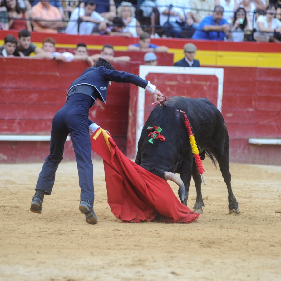 Valencia, sábado 20 de julio de 2019. Certamen de Escuelas Taurinas