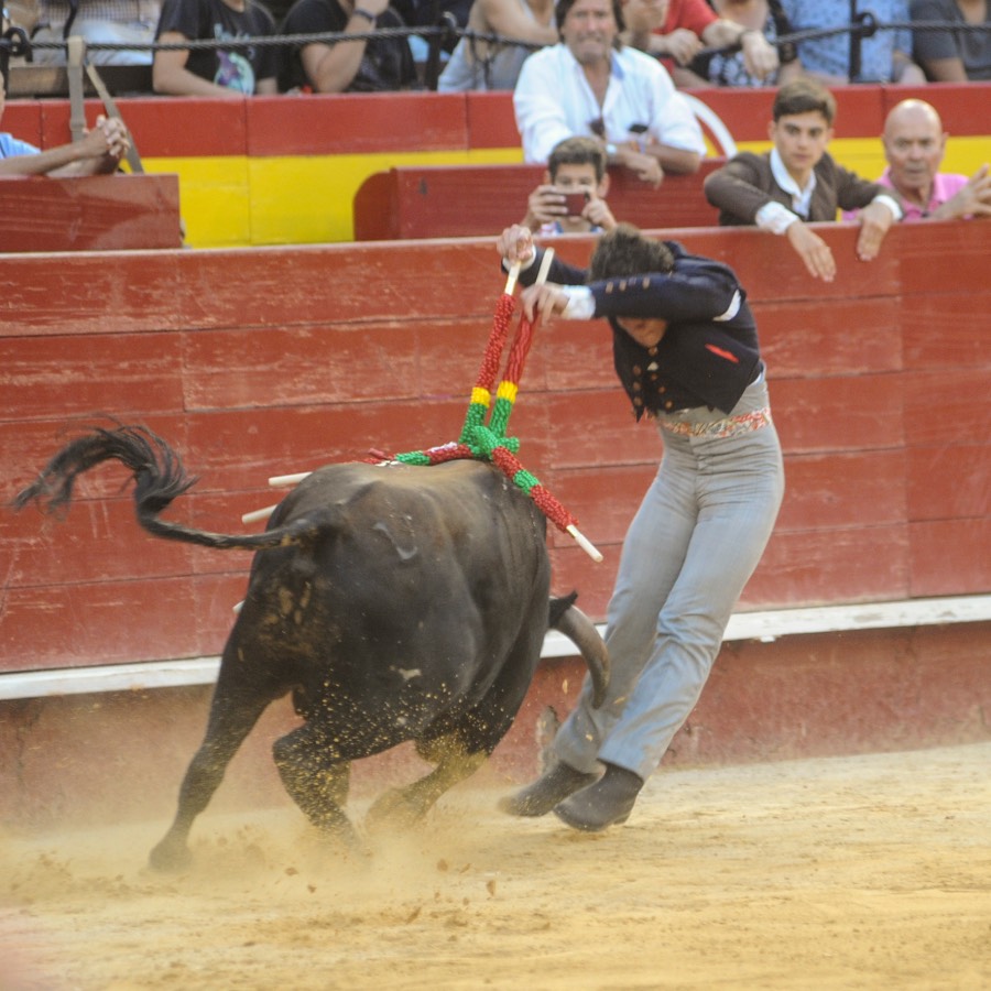 Valencia, sábado 20 de julio de 2019. Certamen de Escuelas Taurinas