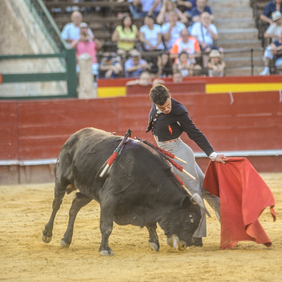 Valencia, sábado 20 de julio de 2019. Certamen de Escuelas Taurinas