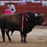 Arévalo. Sábado 6 de julio de 2019