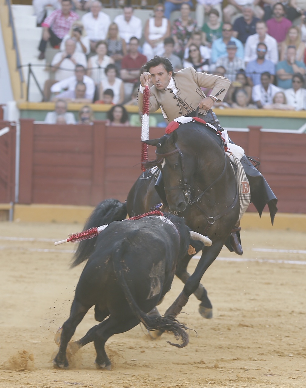 Estepona. Domingo 7 de julio de 2019