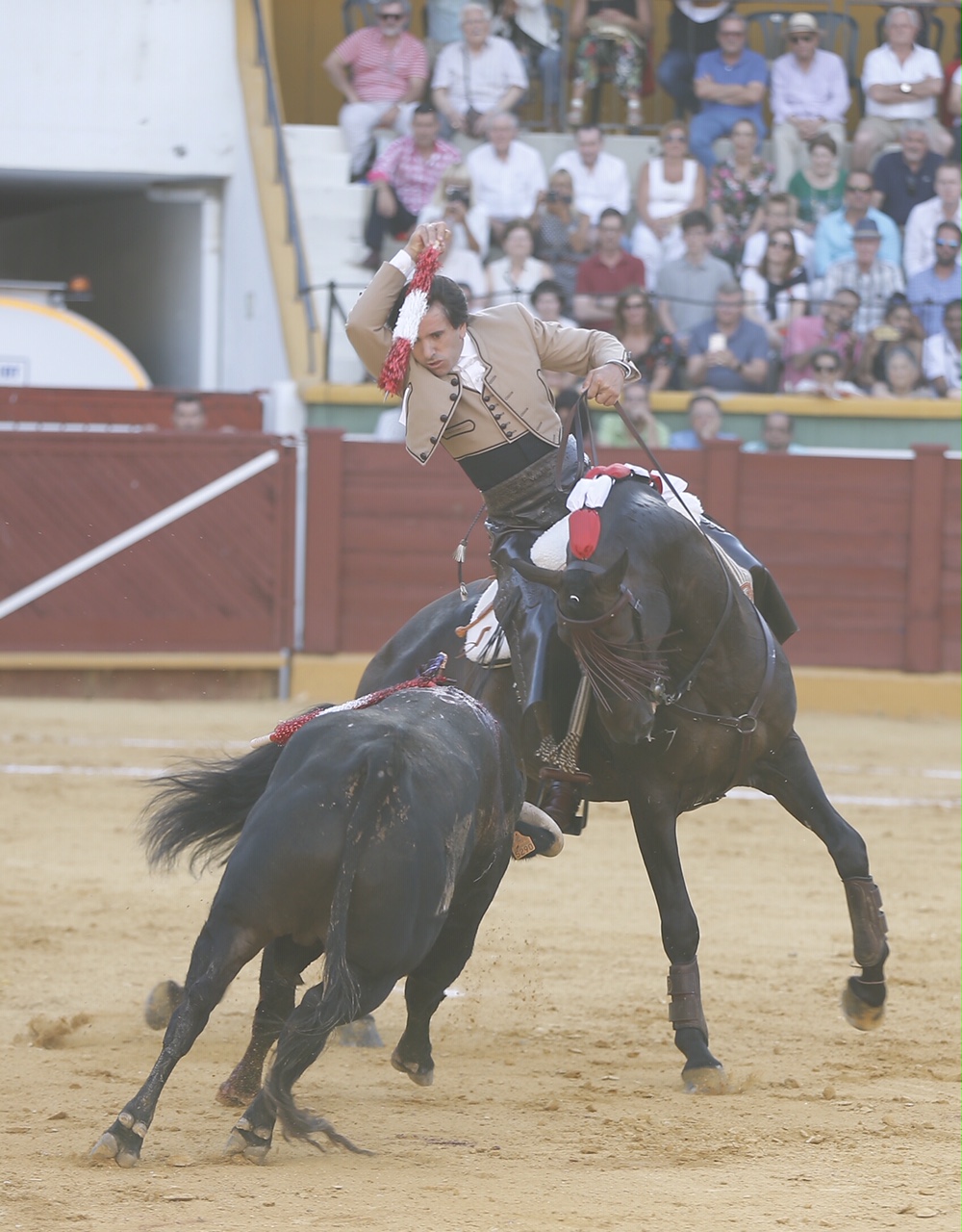 Estepona. Domingo 7 de julio de 2019