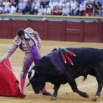 Estepona. Domingo 7 de julio de 2019