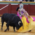 Estepona. Domingo 7 de julio de 2019