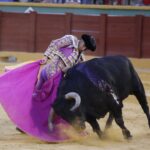 Estepona. Domingo 7 de julio de 2019