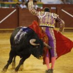 Estepona. Domingo 7 de julio de 2019