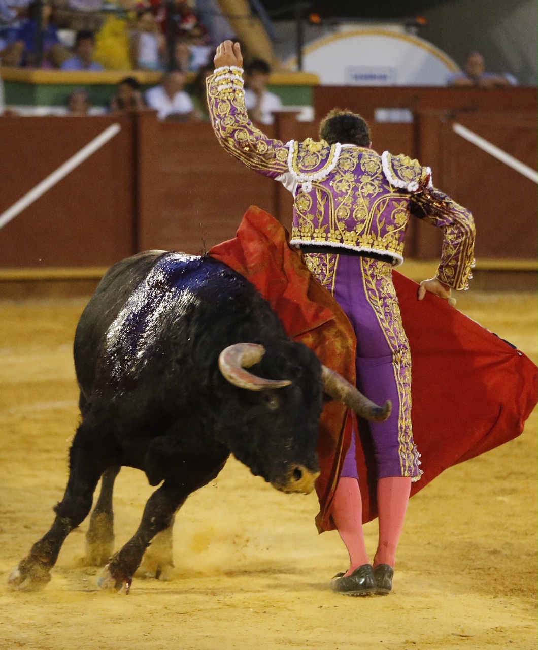 Estepona. Domingo 7 de julio de 2019