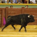 Estepona. Domingo 7 de julio de 2019