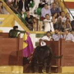 Estepona. Domingo 7 de julio de 2019