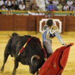 Estepona. Domingo 7 de julio de 2019