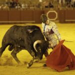 Sevilla. Jueves 11 de julio de 2019