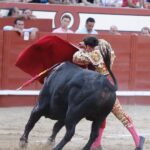 Arévalo, sábado 13 de julio de 2019