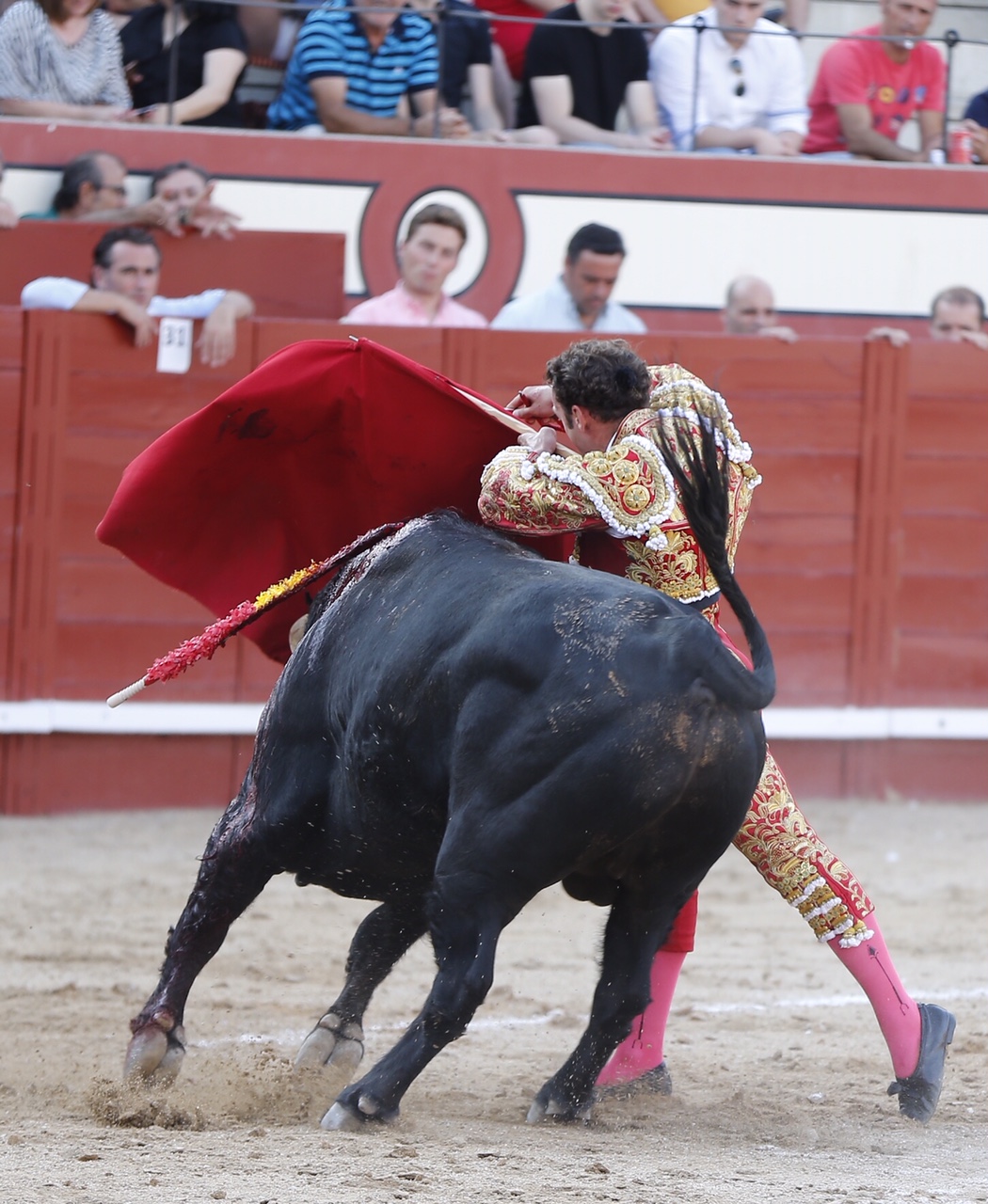 Arévalo, sábado 13 de julio de 2019