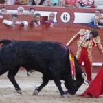 Arévalo, sábado 13 de julio de 2019