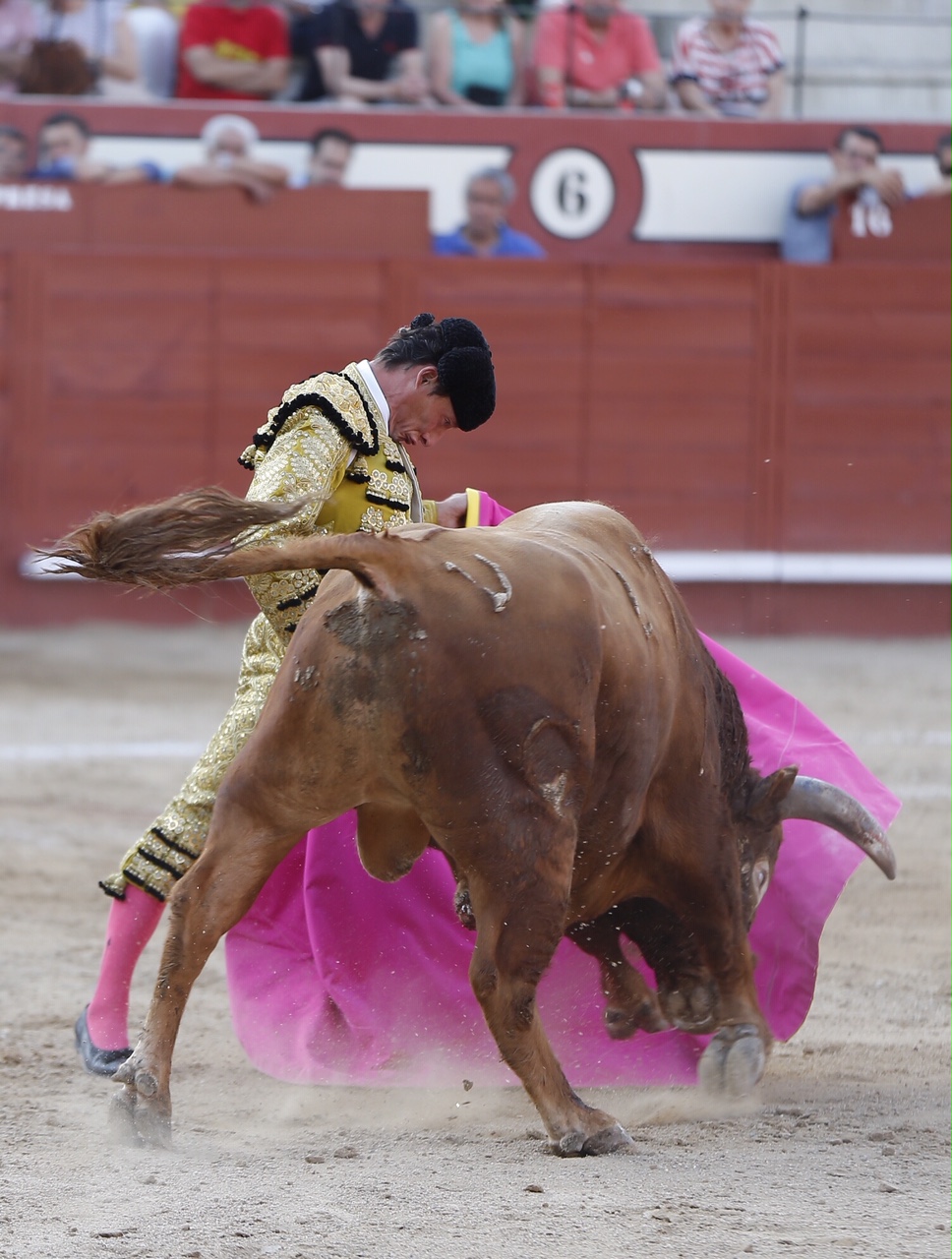 Arévalo, sábado 13 de julio de 2019