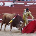 Arévalo, sábado 13 de julio de 2019