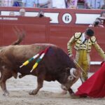 Arévalo, sábado 13 de julio de 2019