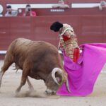 Arévalo, sábado 13 de julio de 2019