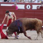 Arévalo, sábado 13 de julio de 2019