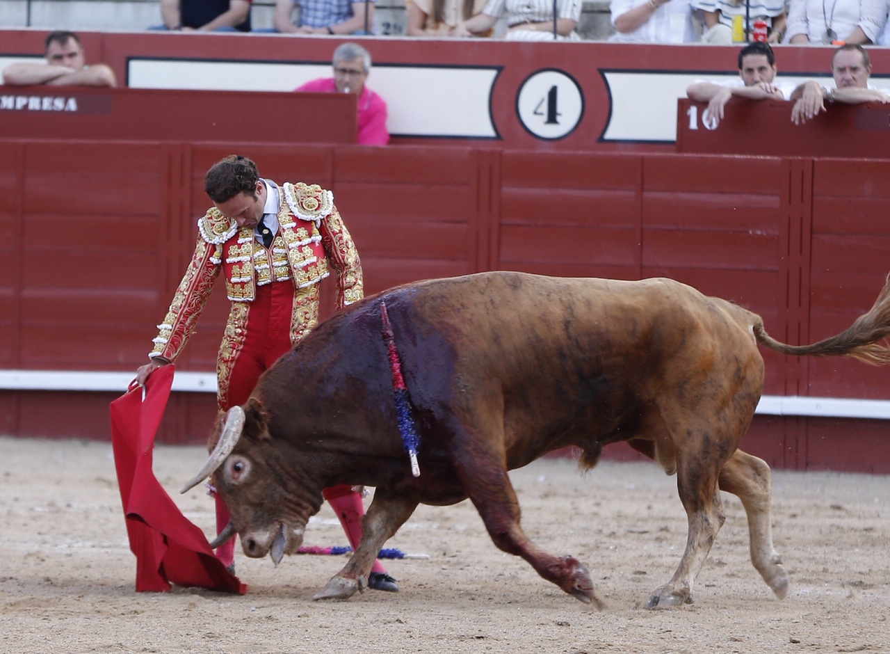 Arévalo, sábado 13 de julio de 2019