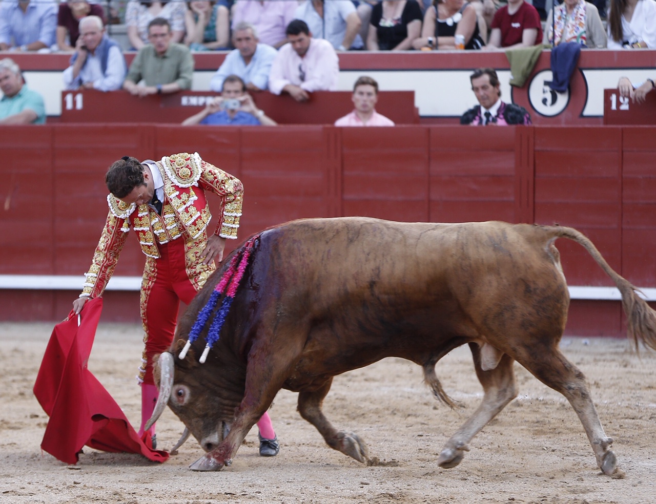 Arévalo, sábado 13 de julio de 2019