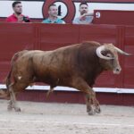 Arévalo, sábado 13 de julio de 2019