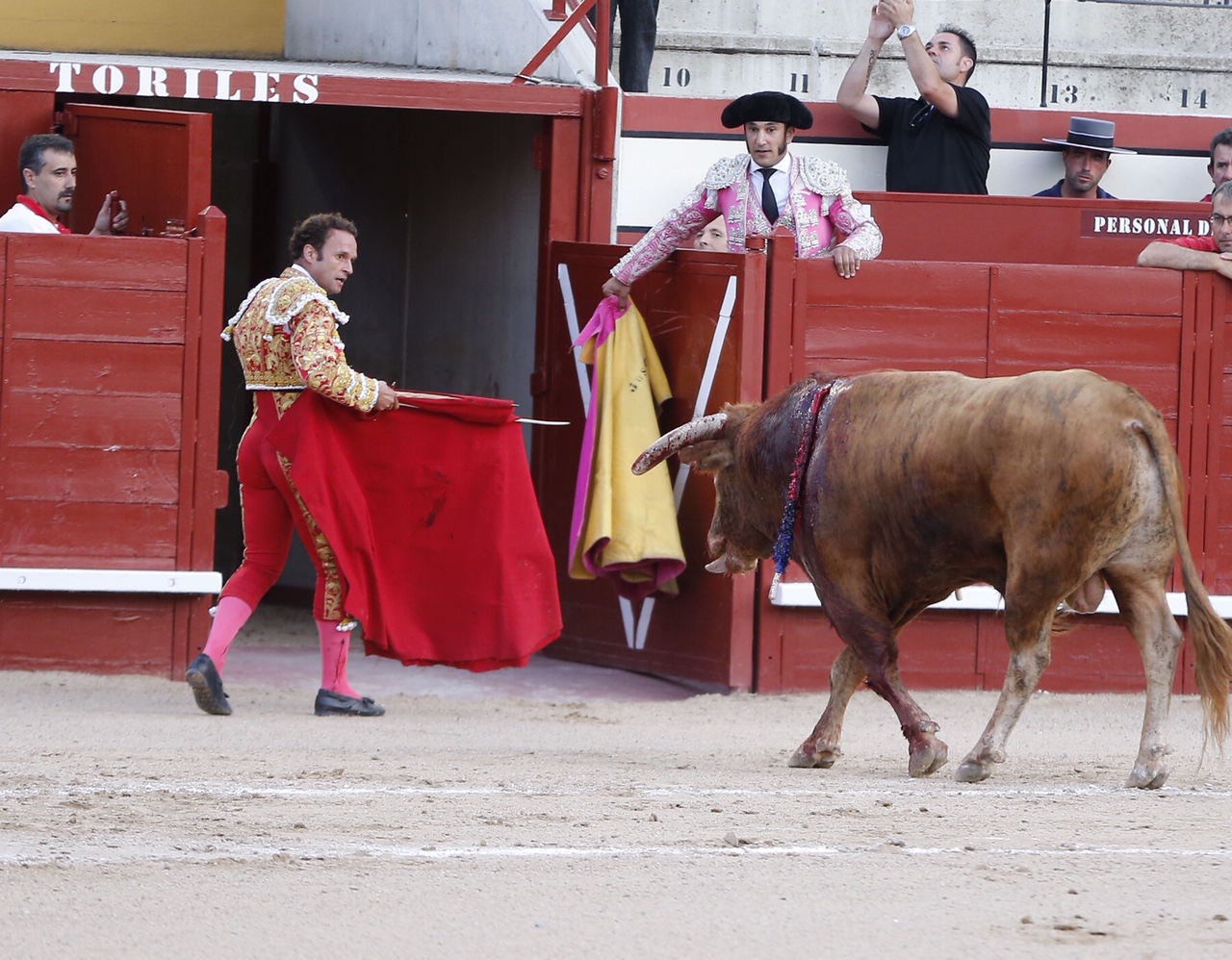 Arévalo, sábado 13 de julio de 2019