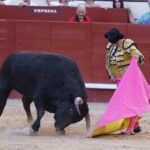 Arévalo, sábado 13 de julio de 2019