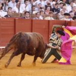 Sevilla, 18 de julio de 2019.