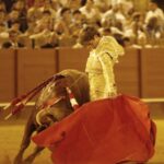 Sevilla, 18 de julio de 2019.