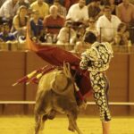 Sevilla, 18 de julio de 2019.